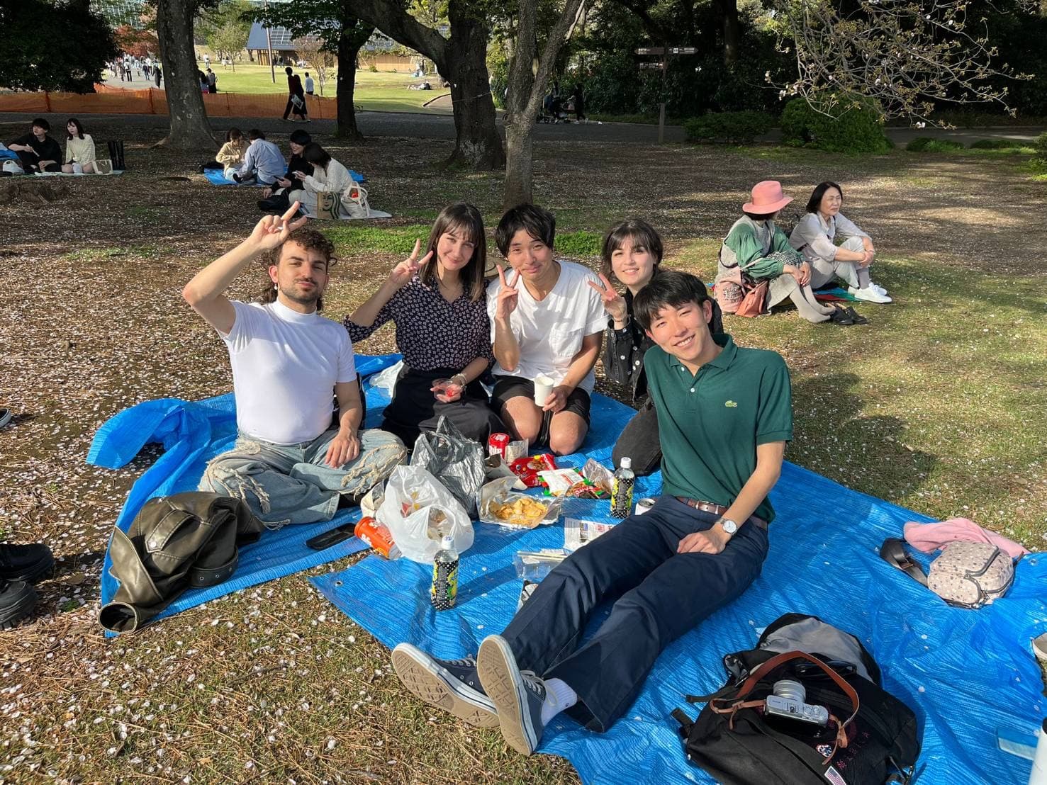 Picnic al parco