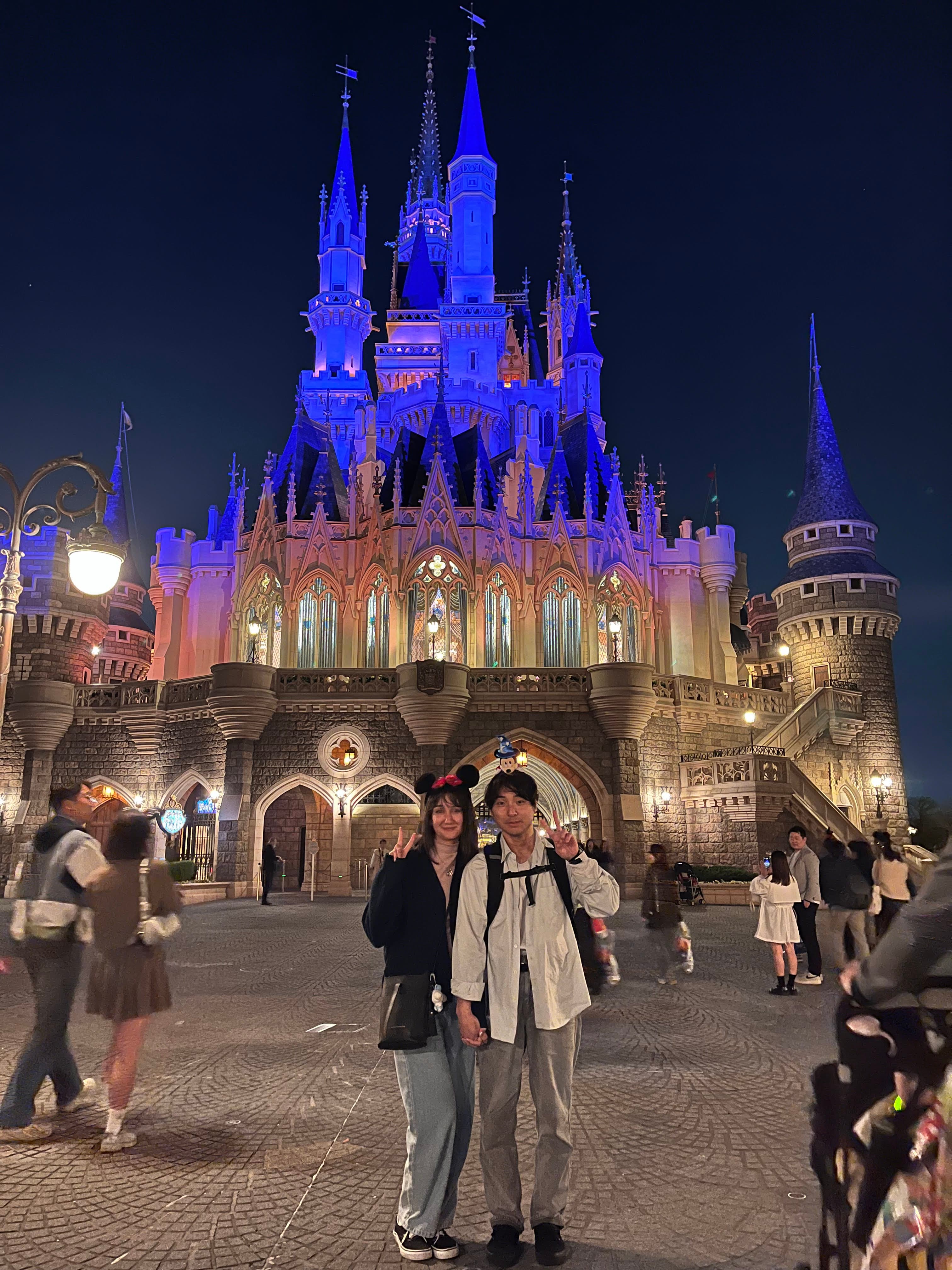 Disneyland di notte